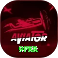 9pkr Premium Plus vv4.8.8
