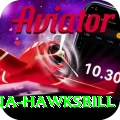 antigua hawksbill Turbo Pro v3.2.2
