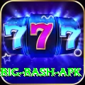 bbl big bash apk Gold Pro v2.2.2