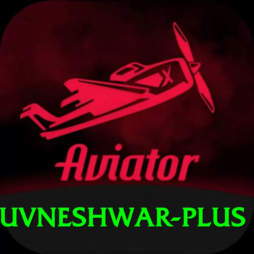 bhuvneshwar Slot Machine VIP - 2