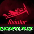 bingopkr Pro1 v1.7.6
