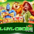 bpl live cricket Master v2.2.6