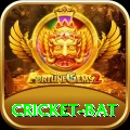 cricket bat Elite v4.8.6