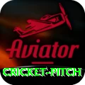 cricket pitch Apps (Tools & Injectors) Deluxe v3.8.0