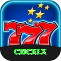 crickex VIP v3.6.7