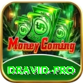 dravid Casino Official v5.2.3