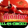 fastest ball in cricket Master v5.7.6
