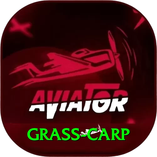 grass carp Apps (Tools & Injectors) Turbo v5.7.5 - 2