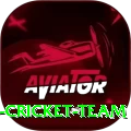 hong kong cricket team Deluxe Pro v2.8.2