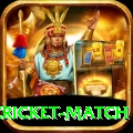 india pakistan cricket match Ultimate v5.7.7