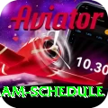 indian cricket team schedule Pro Edition v5.2.8