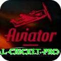 international cricket Live Plus v2.3.9