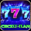 ireland cricket team Gold v4.5.1