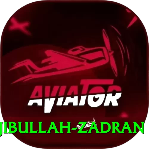 najibullah zadran Plus Edition v5.0.6 - 2