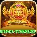 naseem shah yorkers Games (Casino & Earning) Pro v3.3.3