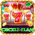 new zealand cricket team Premium v3.9.7