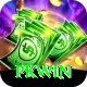 PKWin Apps (Tools & Injectors) Max vv4.1.6