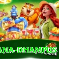 pothana dhampus Master Pro v5.9.8