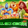 risk free bet cricket Premium Edition v5.7.1