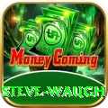 steve waugh Master v1.0.2