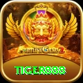 tiger888 Gold vv5.6.4