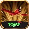 tojay Plus Edition v5.4.8