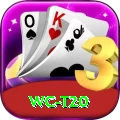 wc t20 Pro1 v2.6.4